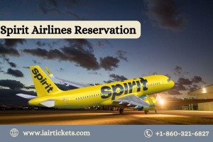 How do I make Spirit Airlines reservations?